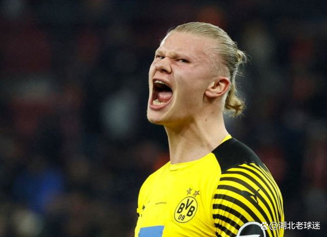 哈兰德在塞尔维亚队比赛中败北，出色发挥引发热议！上演精彩一战(哈兰德属于哪个国家队)